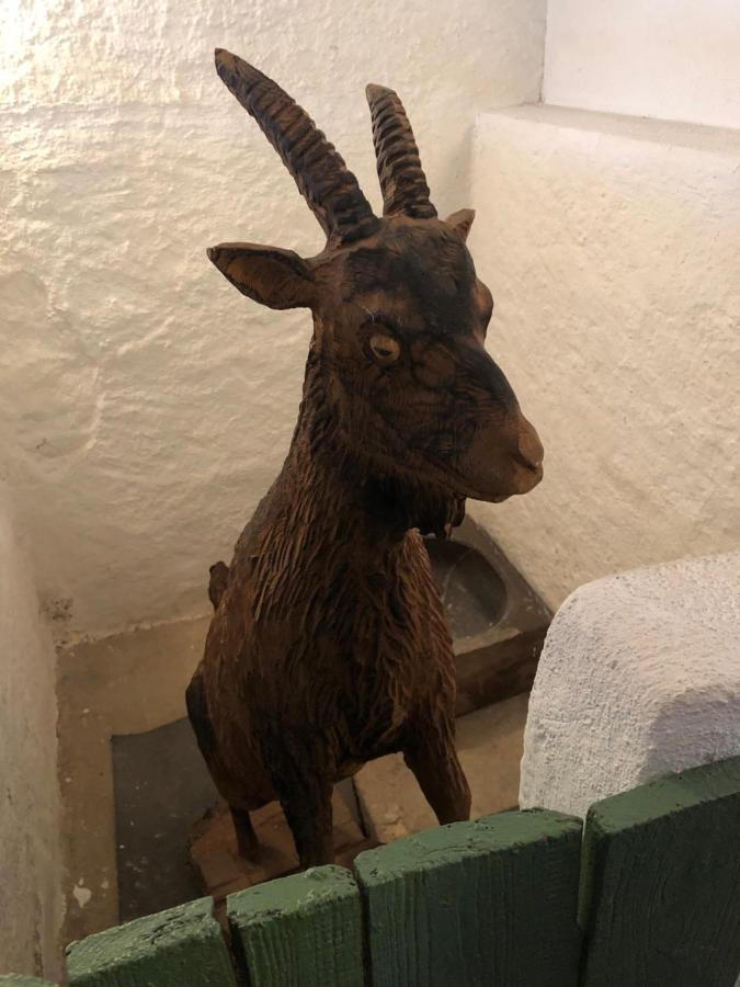 Wildbachidylle Villa Lichtenberg/Erzgebirge Bagian luar foto